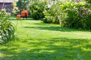 travaux jardin et paysage Segré